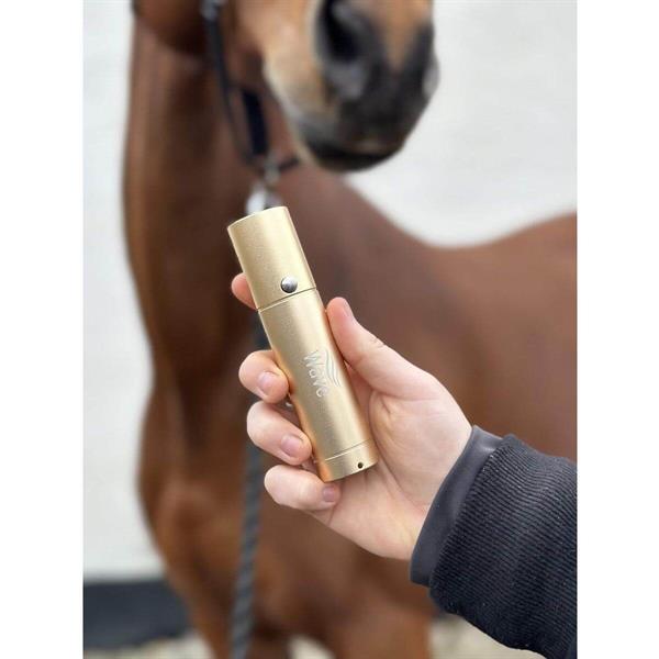 Lysterapi til hund og kat